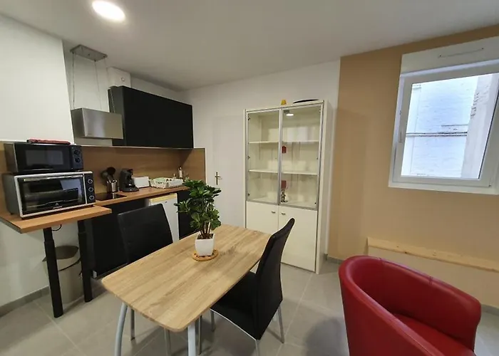 Grand Studio Gravelines Centre , 5 Mn Du Cnpe Et De La Plage, Absence De Chambre Privative